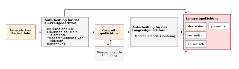 Gedächtnismodell
