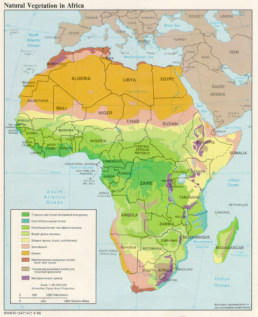 Vegetation Afrika - Bildquelle: University of Florida
