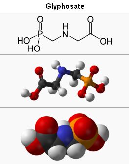 Glyphosate - Bildquelle: Screenshot-Ausschnitt Wikipedia/Glyphosate