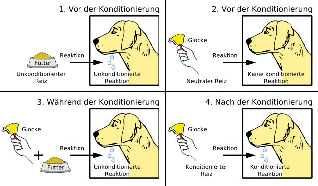 Pawlowsche Hund - Bildquelle: Wikipedia / Rhcastilhos, Vincent Danet, MagentaGreen; Creative Commons Attribution-Share Alike 3.0 Unported