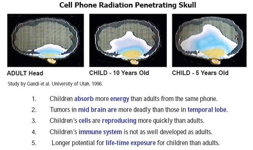 Mobilfunkstrahlung - Bildquelle: https://articles.mercola.com