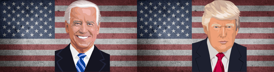 US-Wahlen 2020 - Bildquelle: Pixabay / heblo, Chickenonline, www.konjunktion.info; Pixabay License