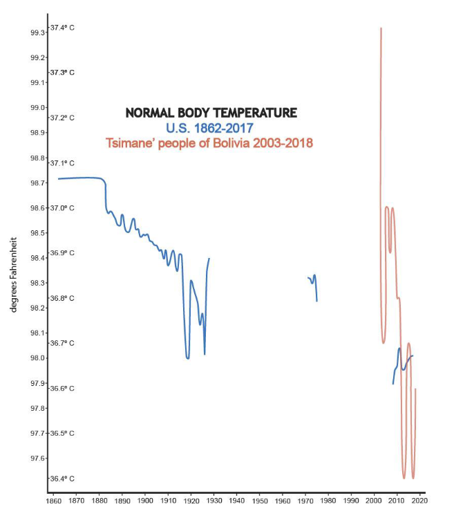 Körpertemperaturen - Bildquelle: Arthur Firstenberg